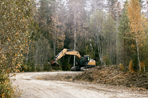 Right-of-Way Clearing work in progress