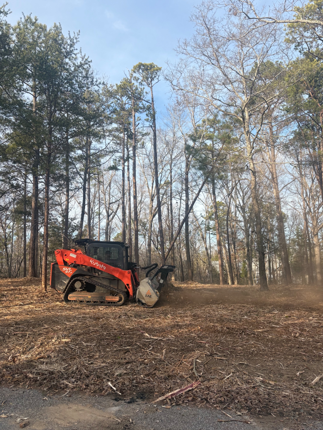 Forestry Mulching work in progress