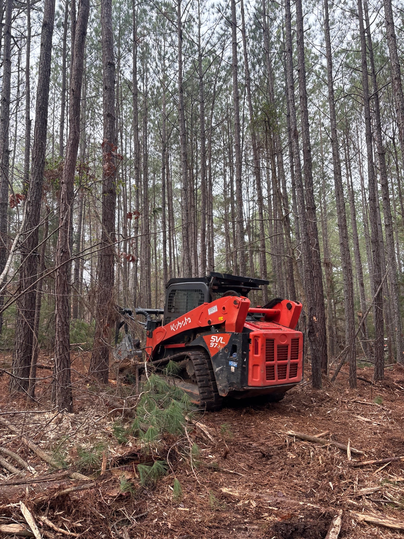 Forestry Mulching completed project