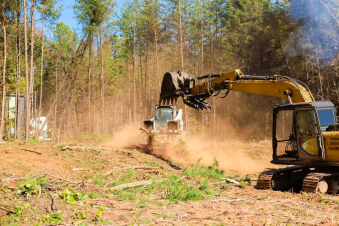 Right-of-Way Clearing completed project