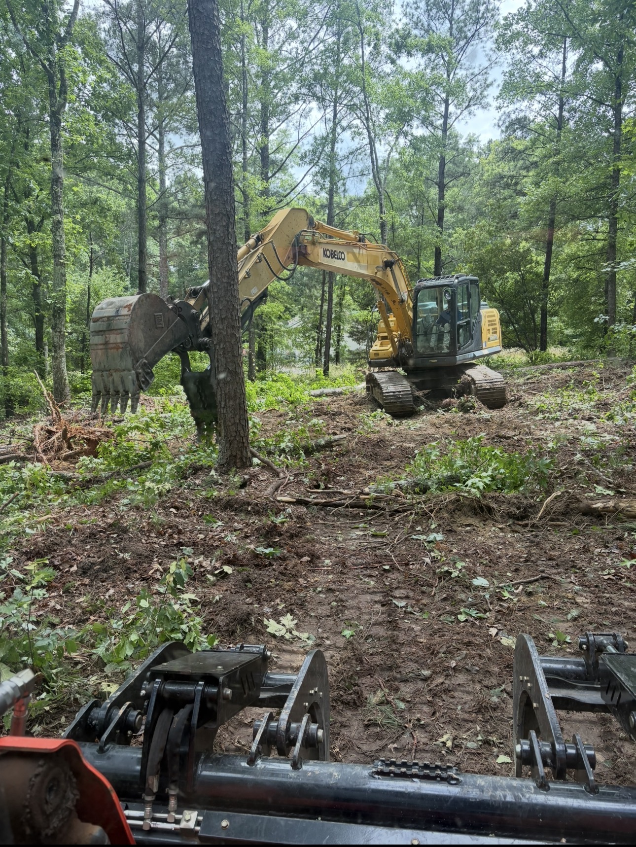 Completed land clearing project on a wooded property